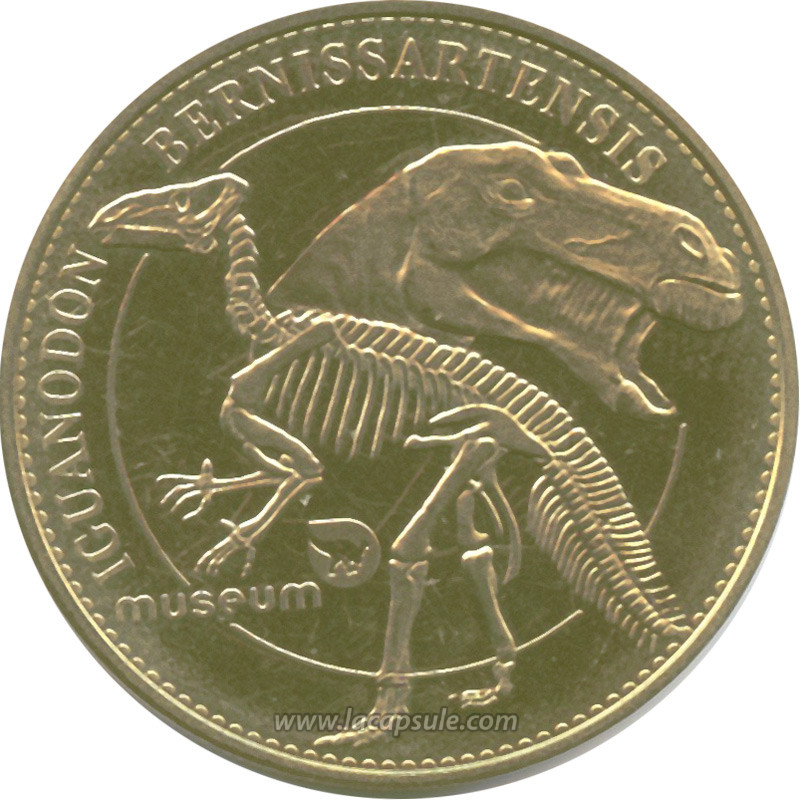 Muséum D'Histoires Naturel