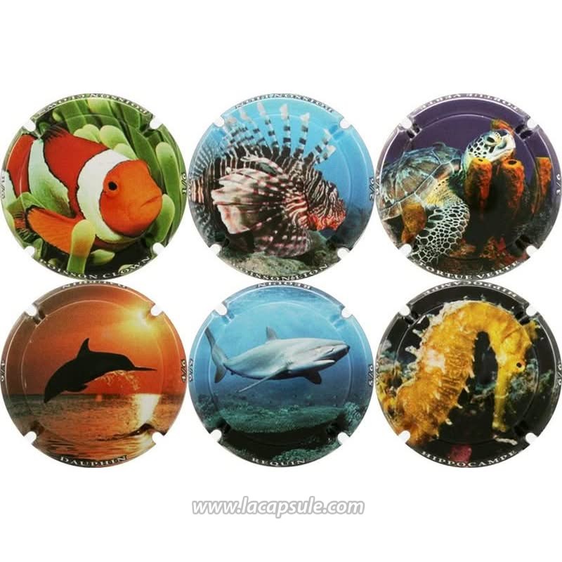 Générique Champagne