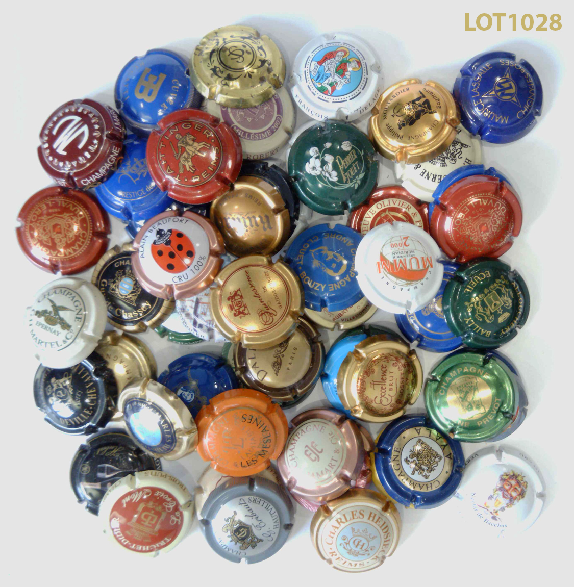 Lot de 60 capsules
