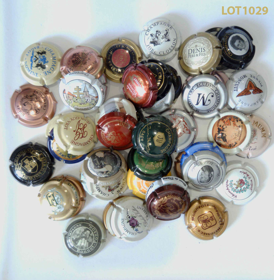 Lot de 60 capsules