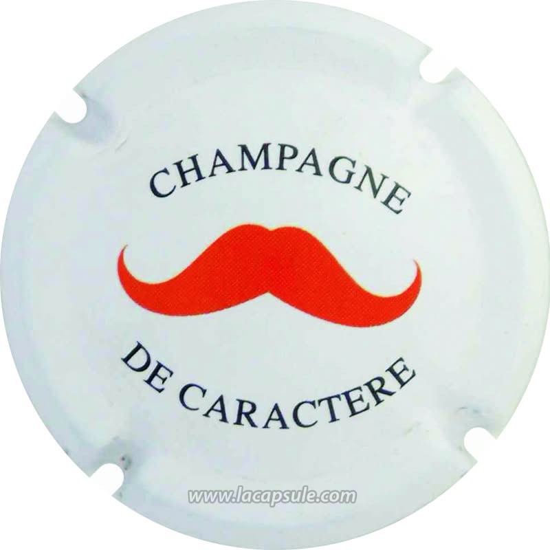 De Castelnau – Image 3