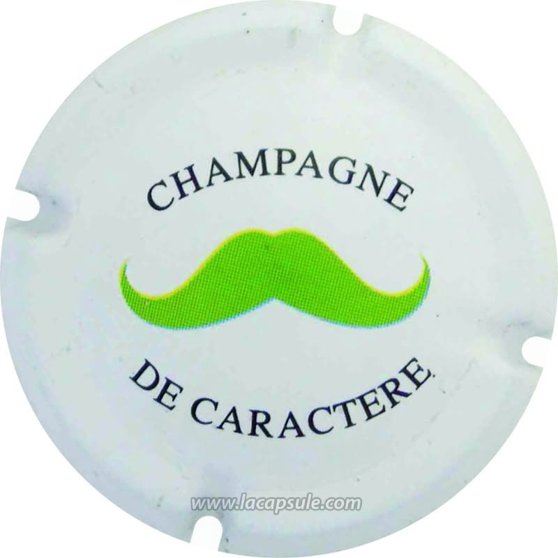 De Castelnau – Image 7