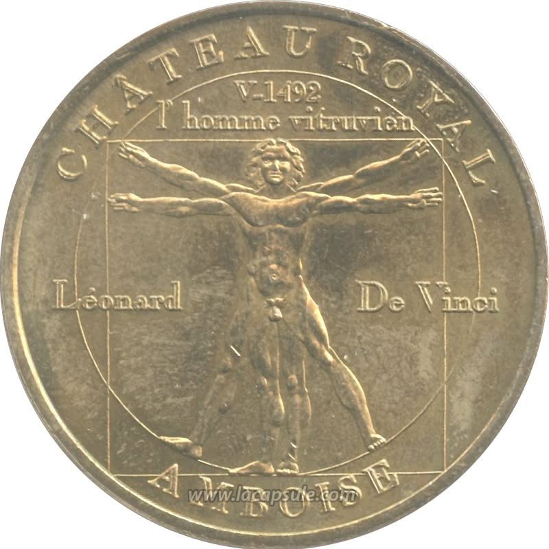 Château Royal Amboise 2