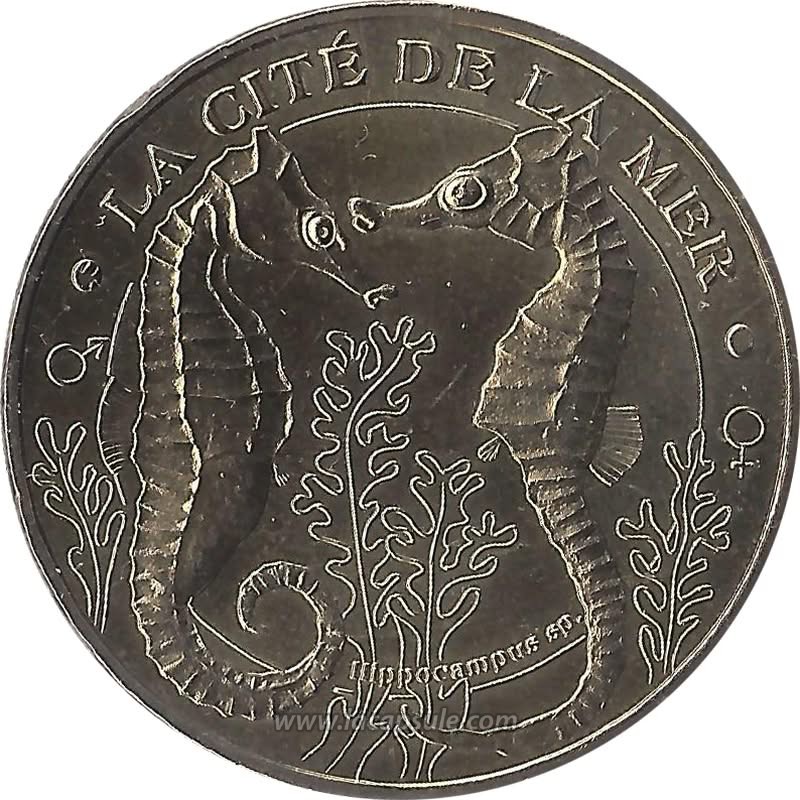 La Cité De La Mer 4