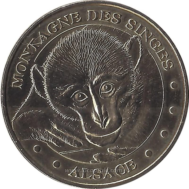 La Montagne Des Singes 7