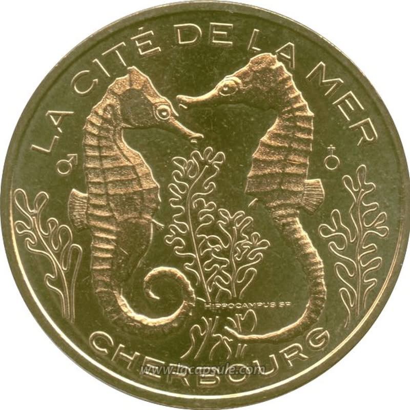 La Cité De La Mer 9