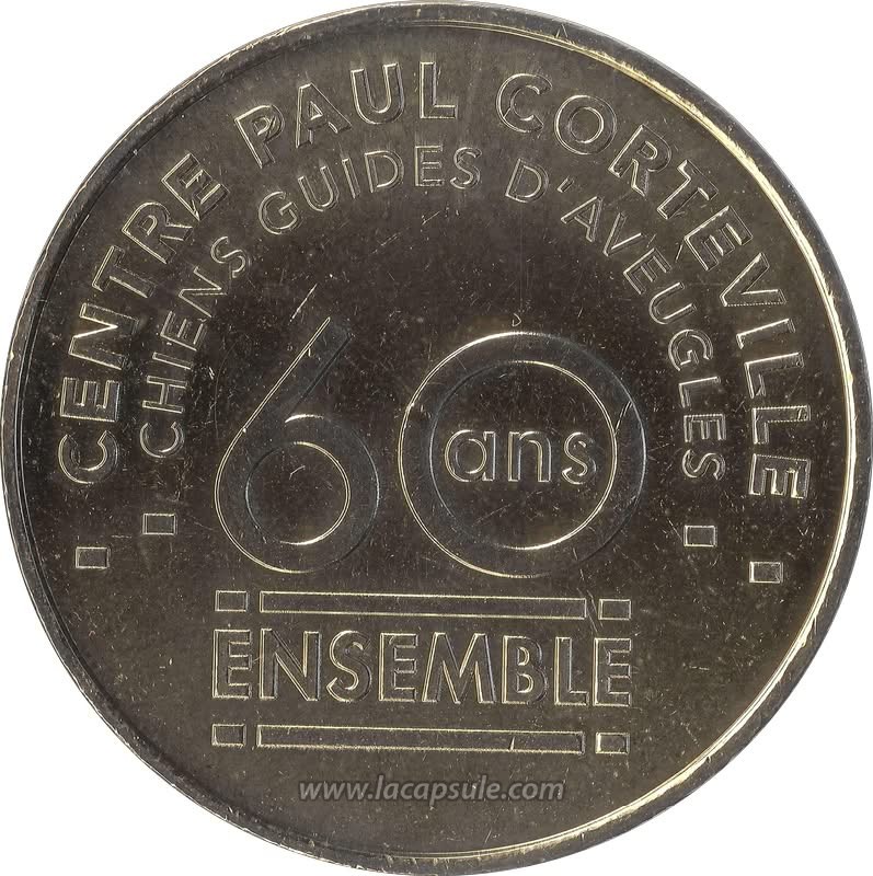 Chiens Guide D'Aveugle