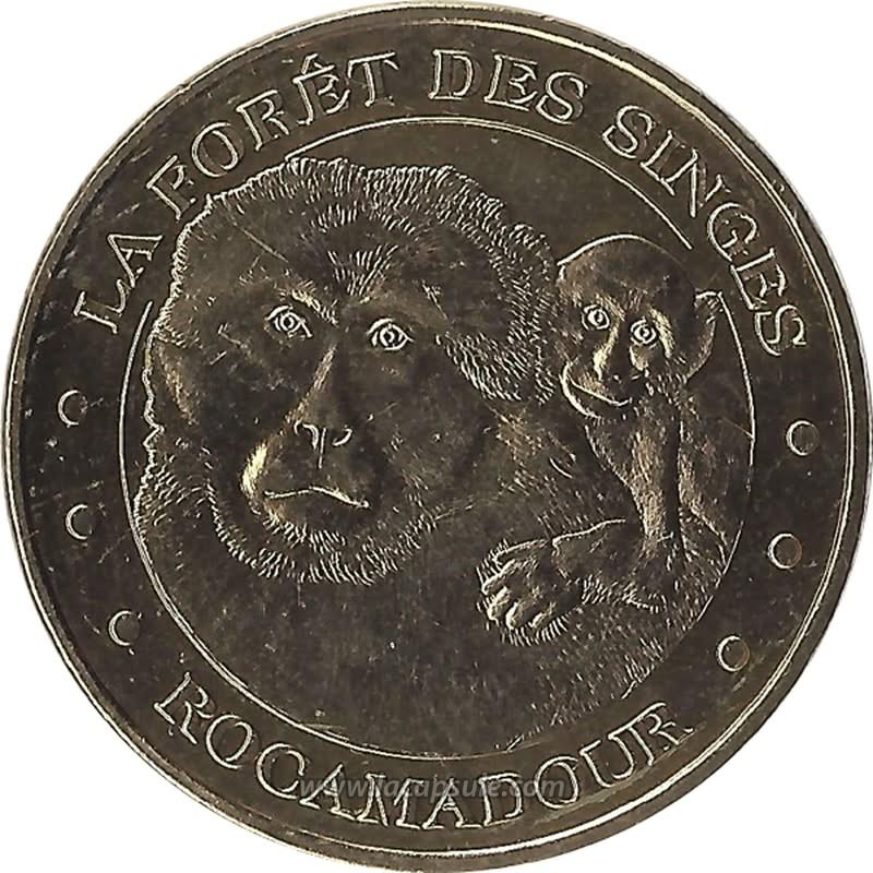 LA FORET DES SINGES 3