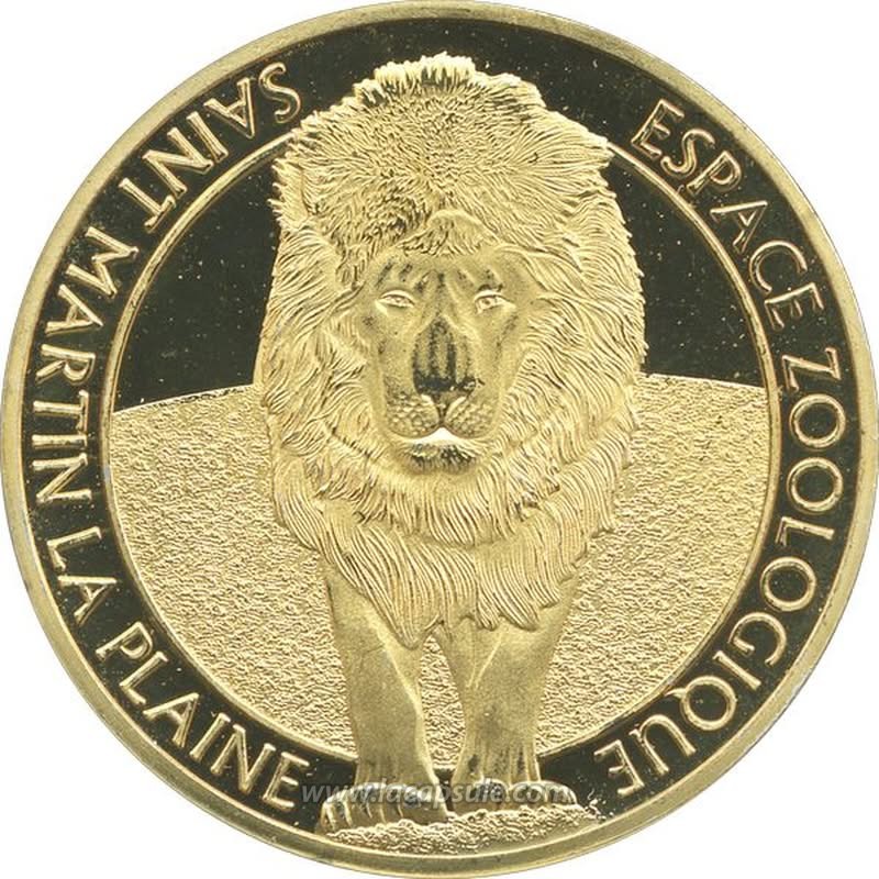 SAINT MARTIN LA PLAINE