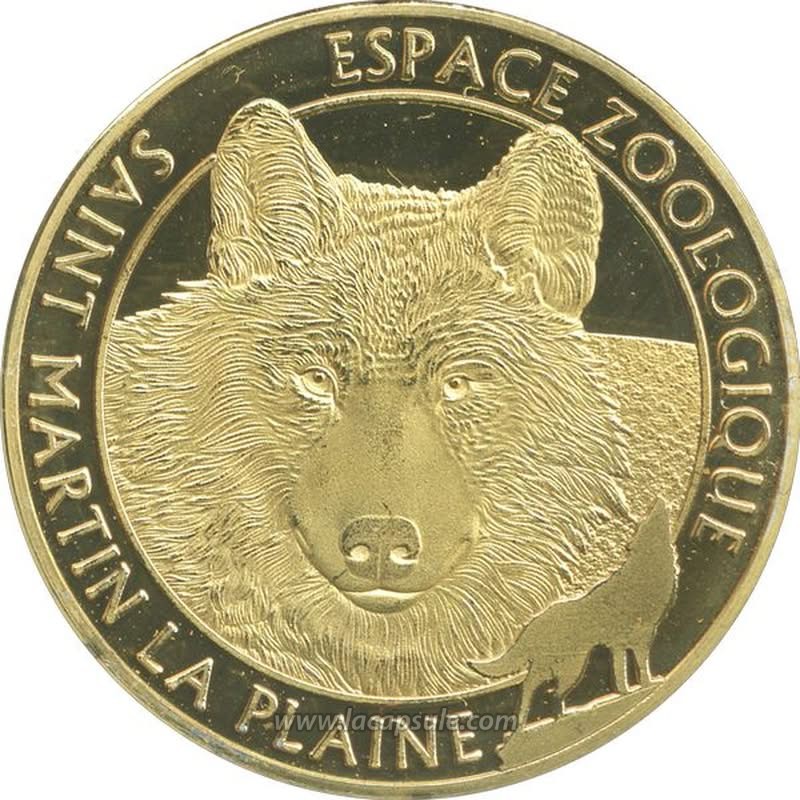 SAINT MARTIN LA PLAINE