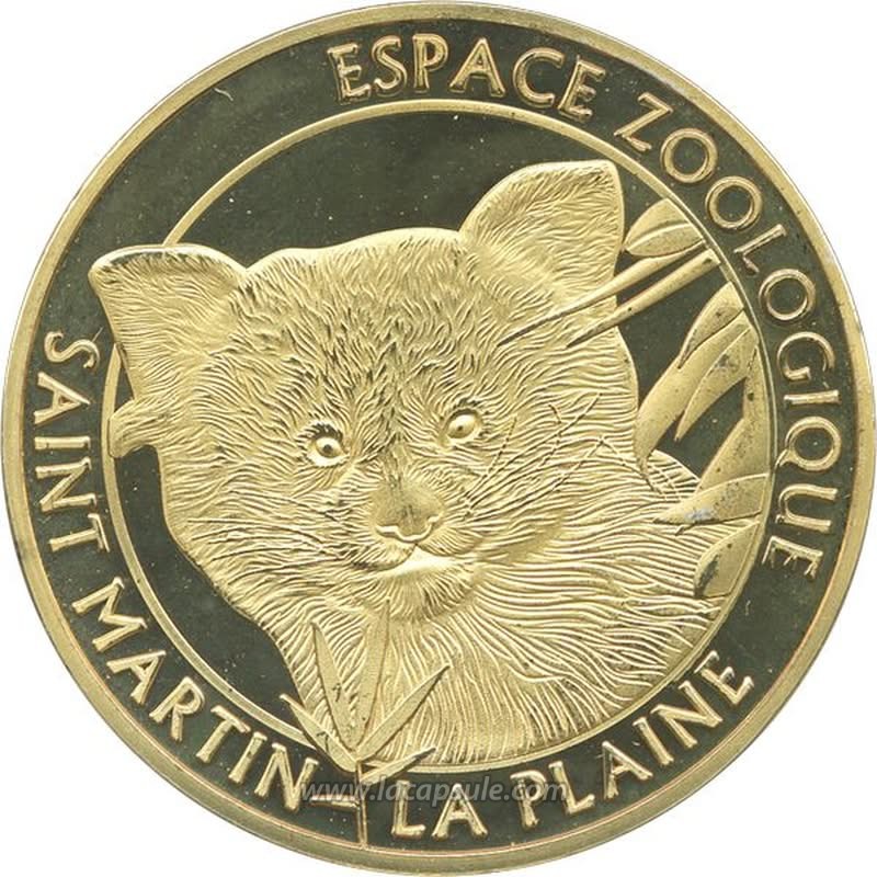 SAINT MARTIN LA PLAINE