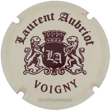 Aubriot Laurent