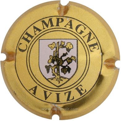 Avize