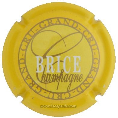 Brice