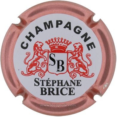 Brice Stéphane