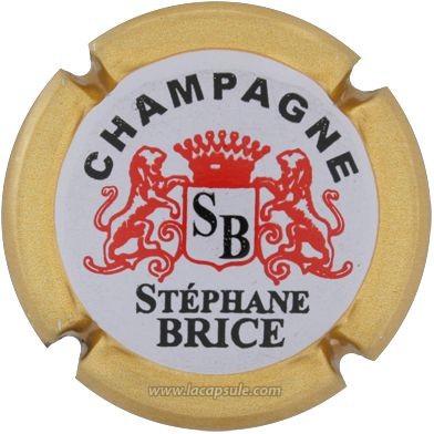 Brice Stéphane
