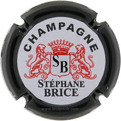 Brice Stéphane