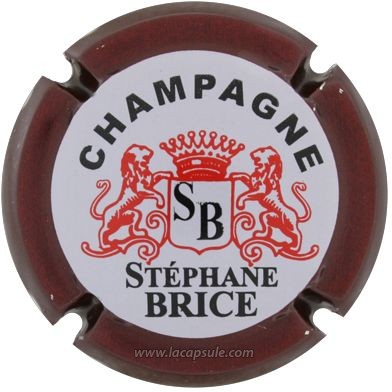 Brice Stéphane