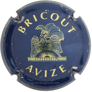 Bricout