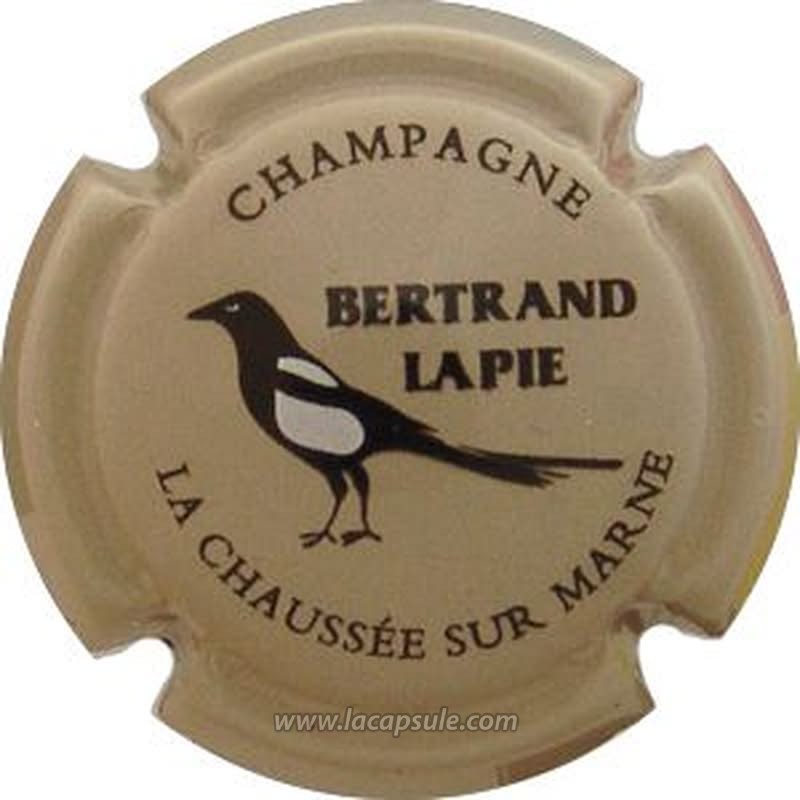 Bertrand Lapie