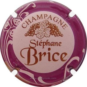 Brice Stéphane