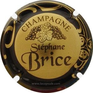 Brice Stéphane