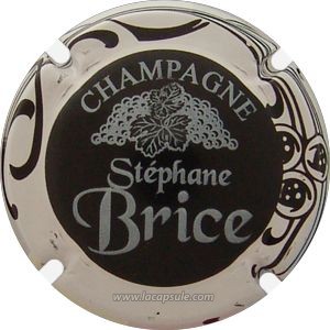 Brice Stéphane