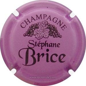 Brice Stéphane