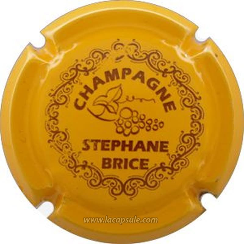 Brice Stéphane
