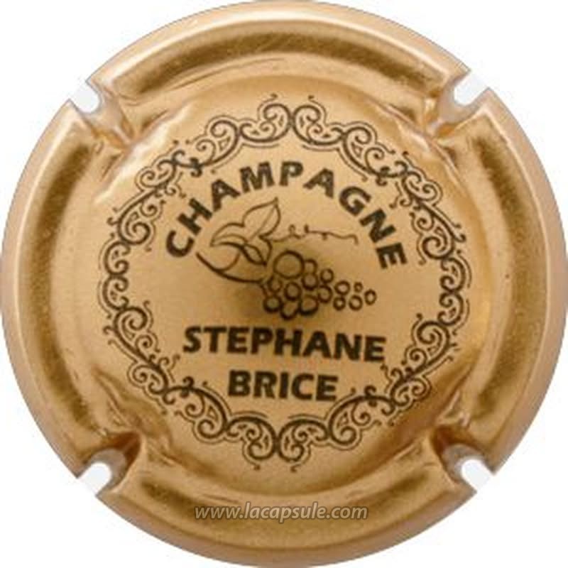 Brice Stéphane