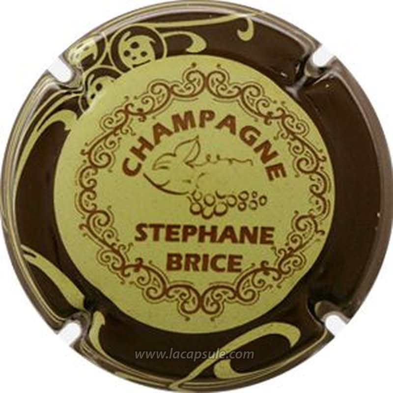 Brice Stéphane