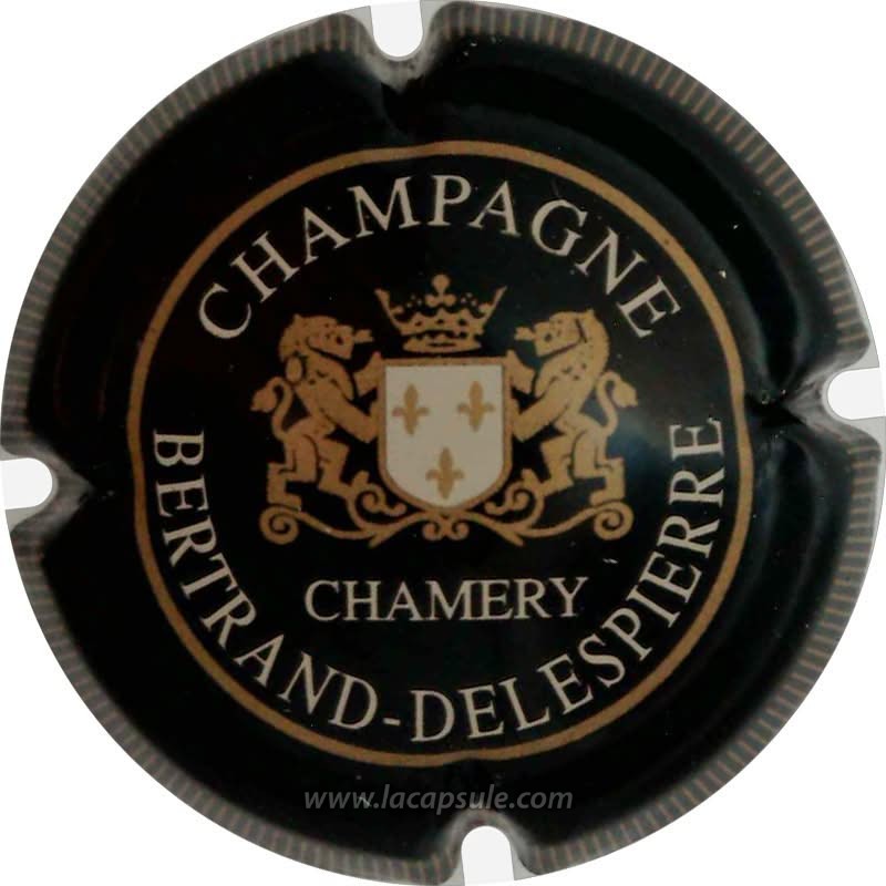 Bertrand Delespierre