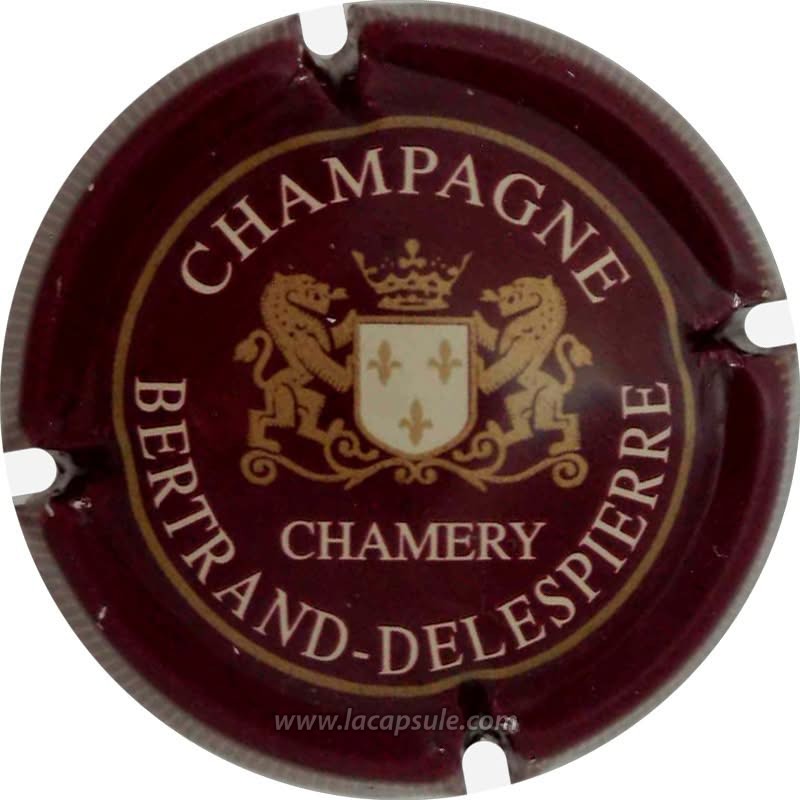 Bertrand Delespierre