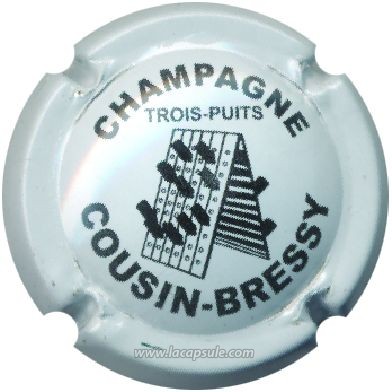 Cousin Bressy