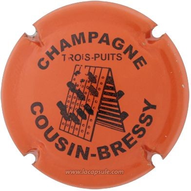 Cousin Bressy