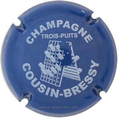 Cousin Bressy