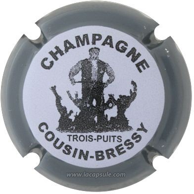 Cousin Bressy
