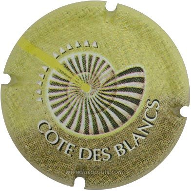 Côte Des Blancs