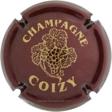Coizy