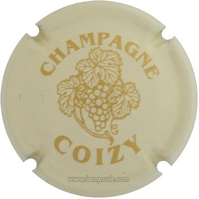 Coizy