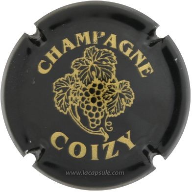 Coizy