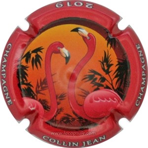 Collin Jean