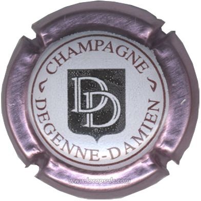 Degenne Damien