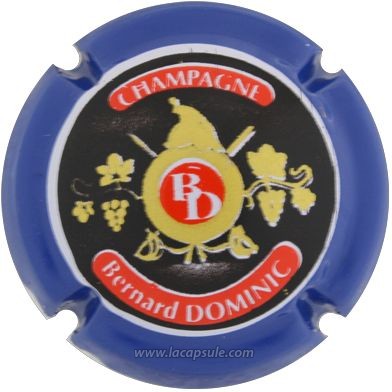 Dominic Bernard