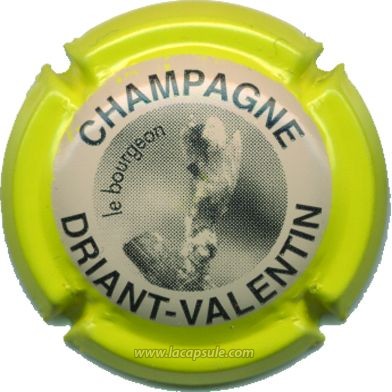 Driant Valentin