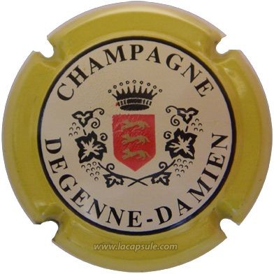 Degenne Damien