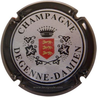 Degenne Damien