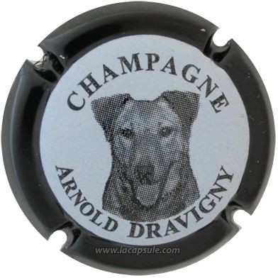 Dravigny Arnold