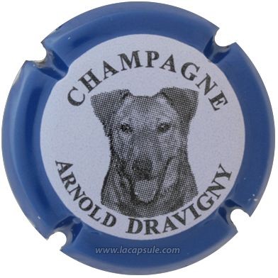 Dravigny Arnold