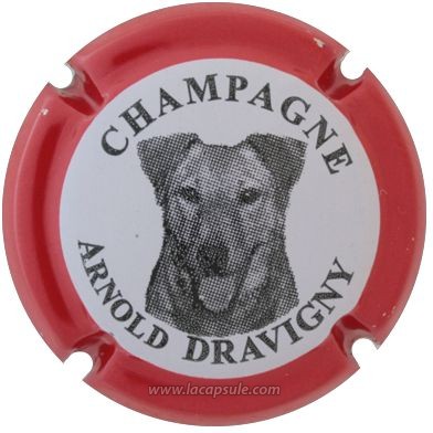 Dravigny Arnold